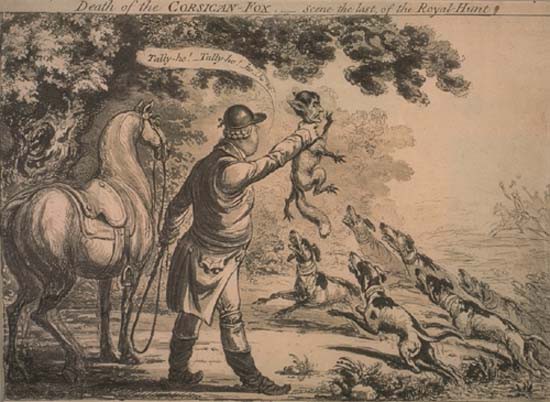 Death of the Corsican fox